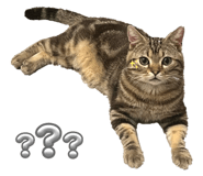 625249623
