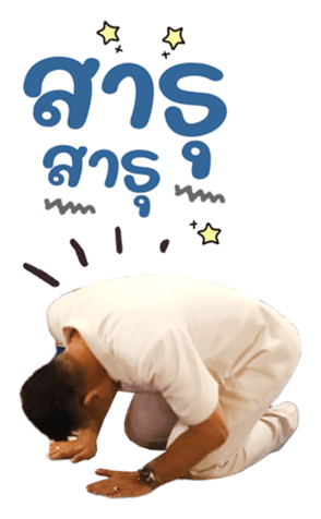 625262877