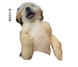 625280200