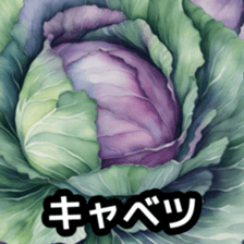 625300987