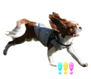 625322070