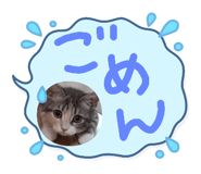 625333786