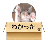 625333792