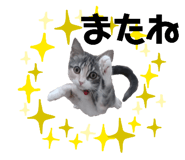 625333795