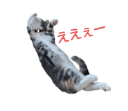 625333798