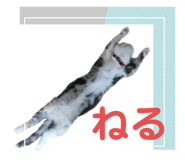 625333805
