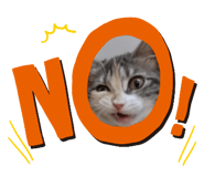625333809