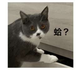 625401237