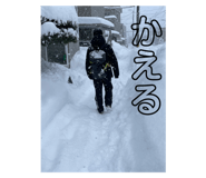 625417040