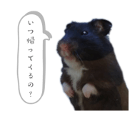 625476409