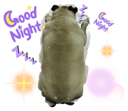 625479093