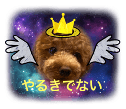 625481533