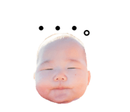 625494115
