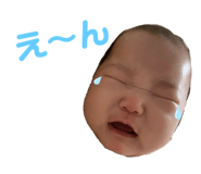 625494121