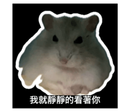 625495027