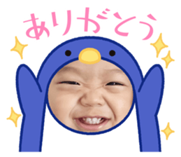625495237