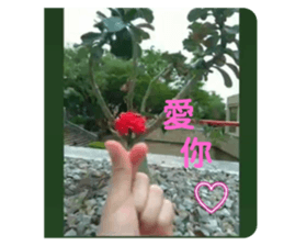 625496431