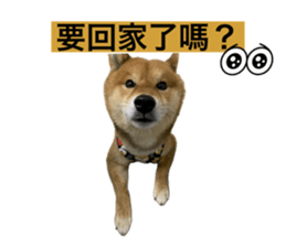 625497309