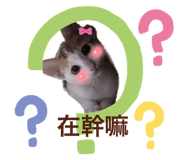 625497393