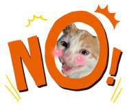 625497400