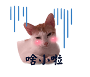625497402