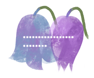 625510828