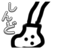 625516243