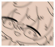 625531269