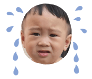 625552907