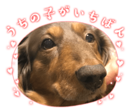 625554845