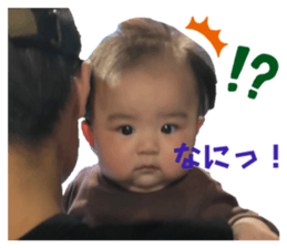 625555853