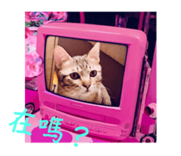 625557143