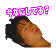 62556741