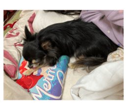 625574167
