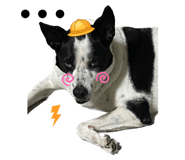 625598073
