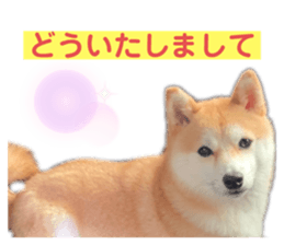 625601349