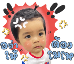 625624306