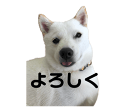 625639118