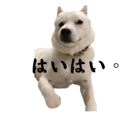 625639120