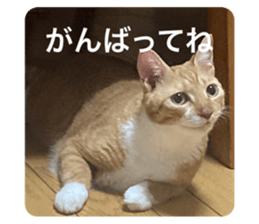 625671086