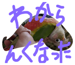 625722083