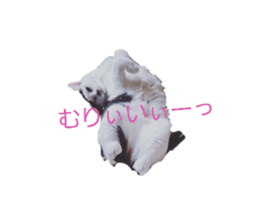 625726824