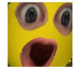 625752193