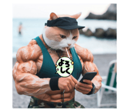 625760434