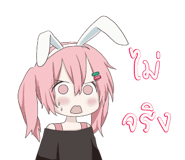 625769883
