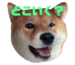 625774876