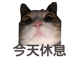 625781339