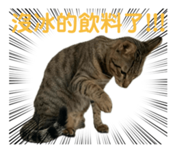625781345