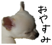 625782318