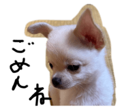 625782326